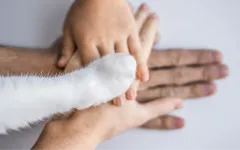 Rabies: an invisible deadly enemy