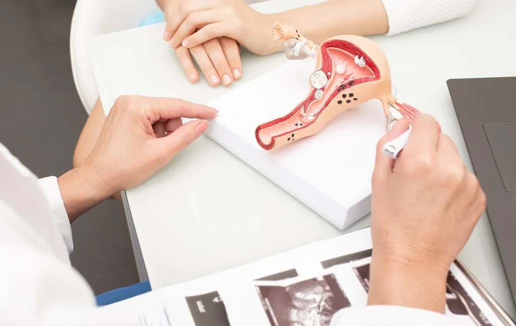 Cancer of the body of the uterus