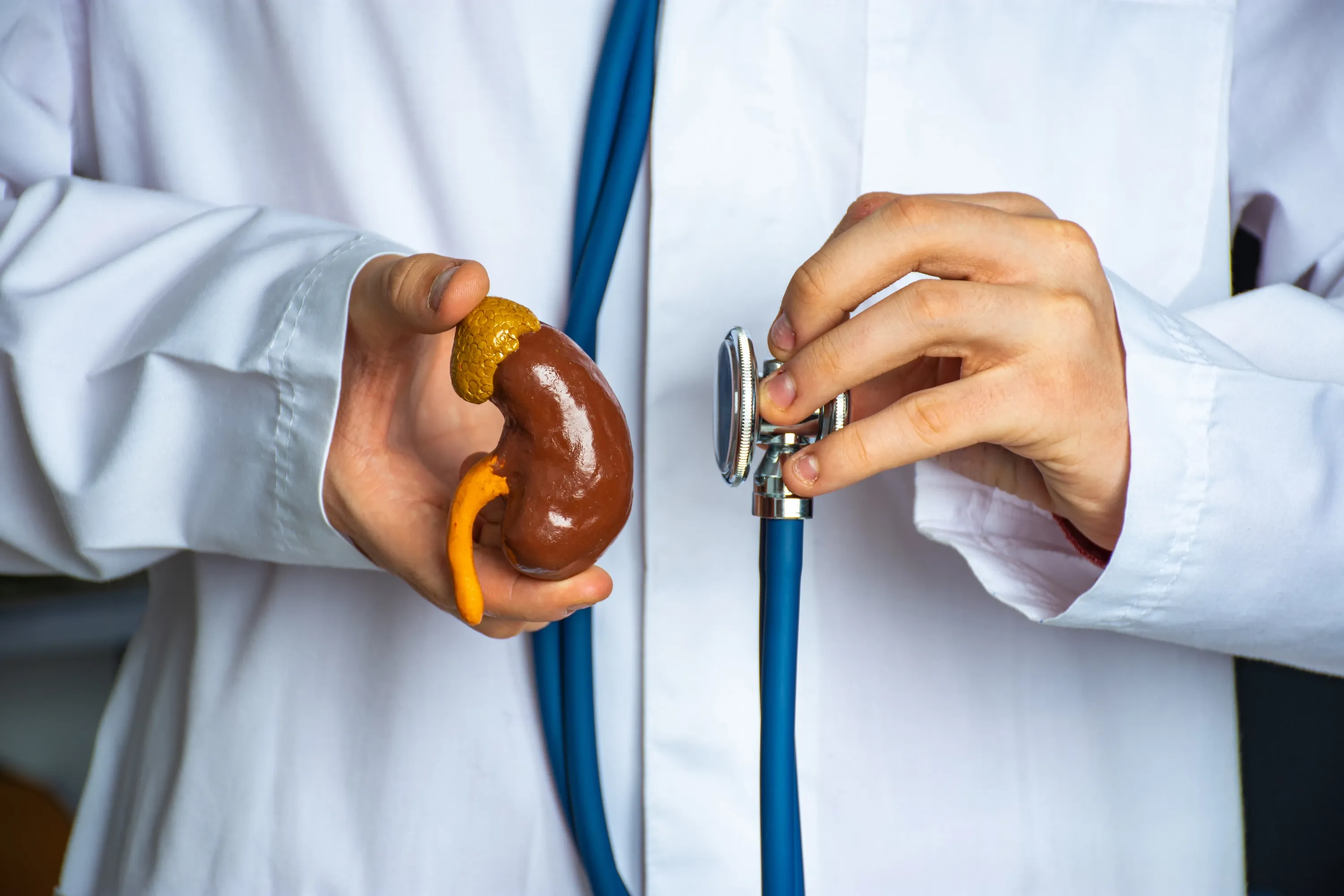 Removal of angiomyolipomas of the kidney: partial and radical nephrectomy