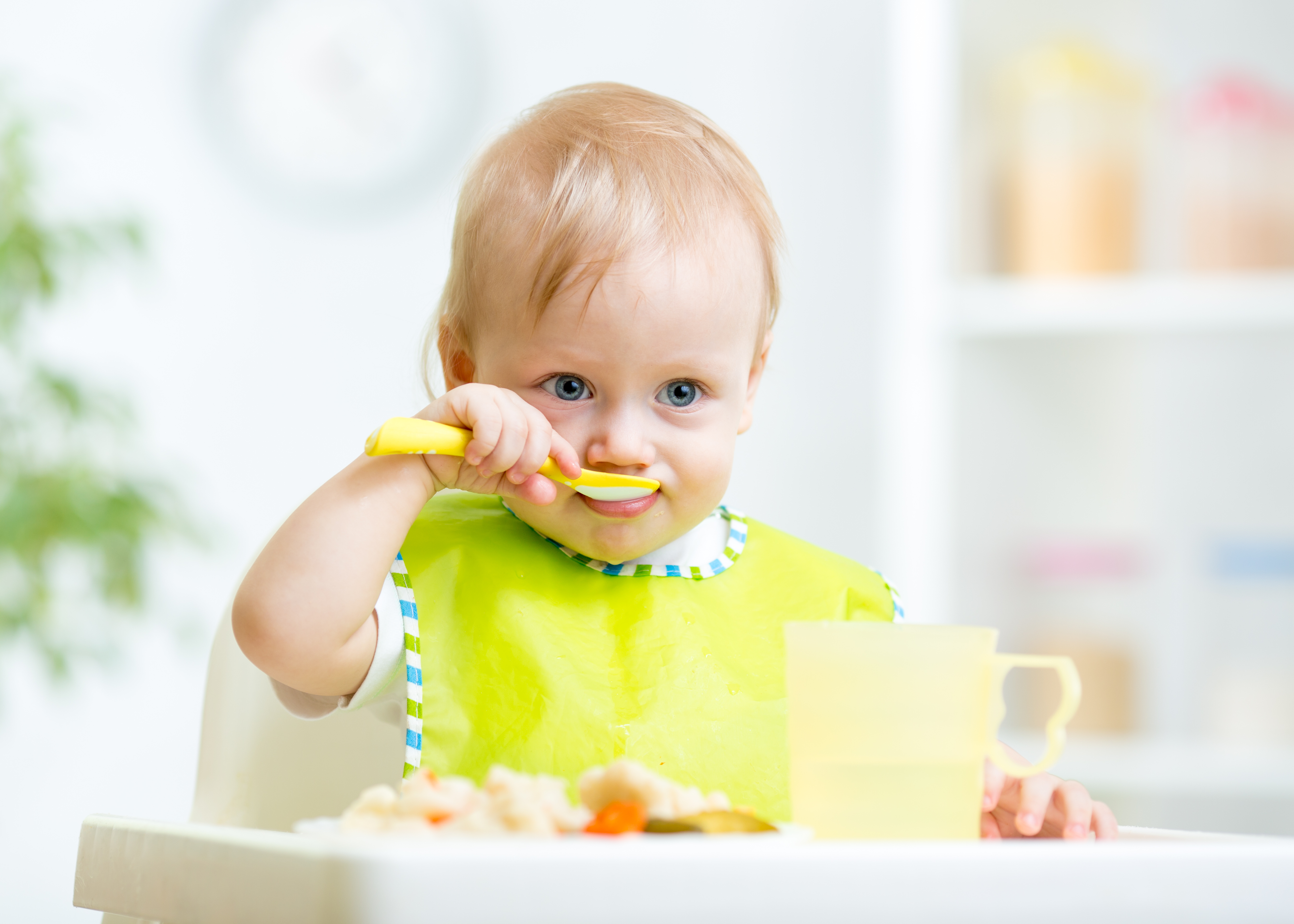 Introduction of vegetables, fruits and berries into the child's diet